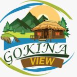 Gokina Logo